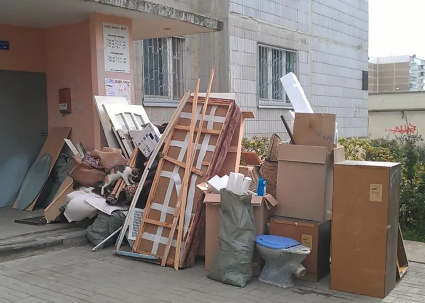 Профессиональный вывоз мусора из квартиры в Новотроицке в октябре