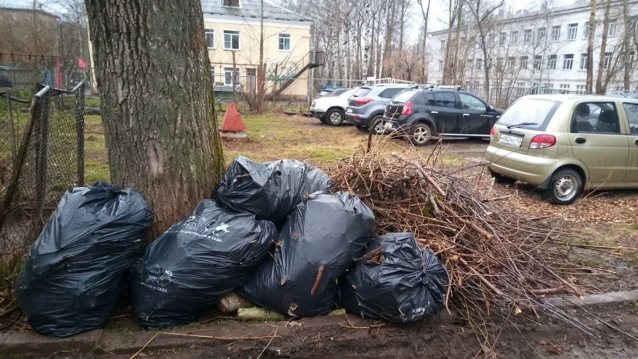 Вывоз мусора после субботника в Новотроицке от ПроМусор – уборка и утилизация отходов от 2460 руб