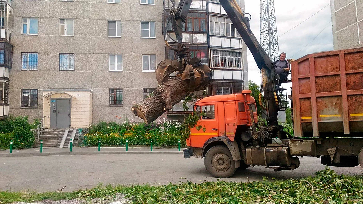 Вывоз спиленных веток и деревьев в Новотроицке от ПроМусор: порубочные остатки, утилизация, цена от 3036 руб