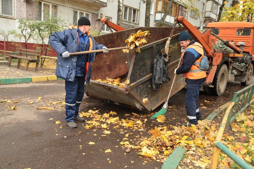 Вывоз опавшей листвы и растительного мусора в Новотроицке от ПроМусор – цена от 4711 руб., быстрая уборка и утилизация